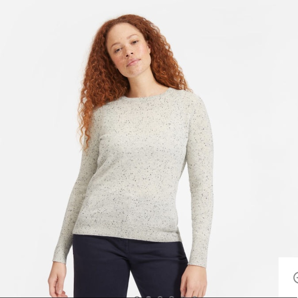 NWOT Cashmere Sweater from Everlane